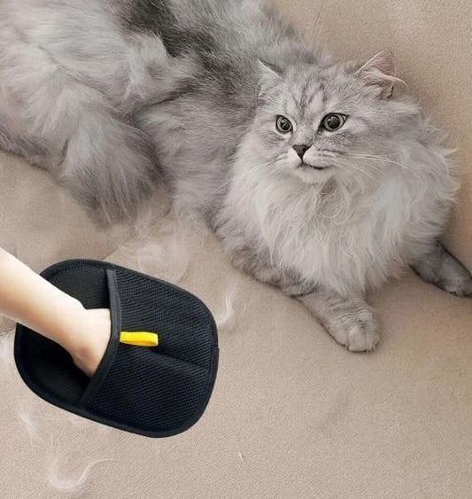 🐶🐱Pet Hair Removal Gloves (Pack of 2)